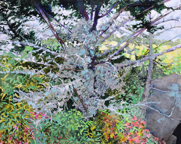 Lichen covered Fir by Elizabeth Bradford at Les Yeux du Monde Art Gallery